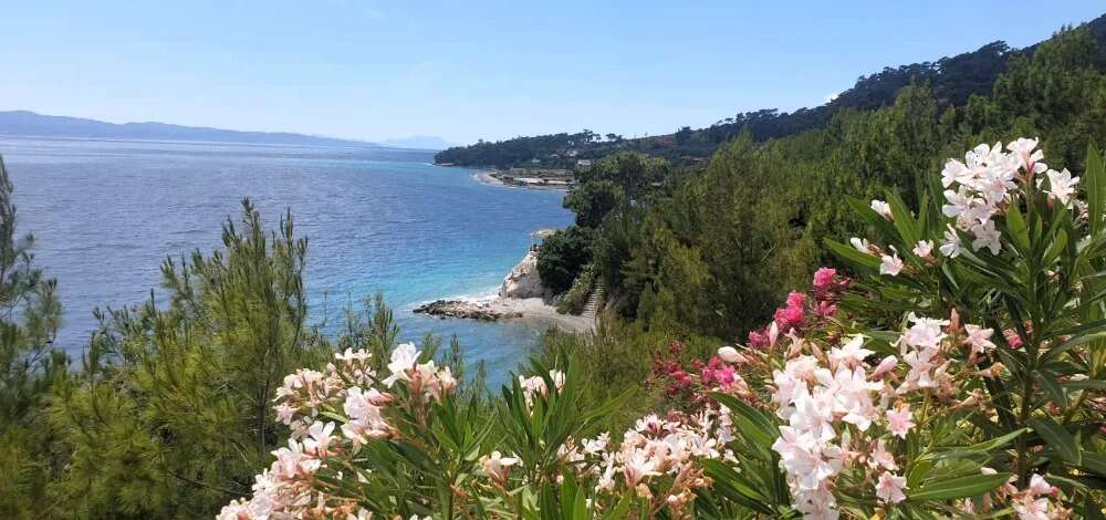 Muğla'da Birinci Derece SİT Alanındaki Orman Parkı İhaleye Çıkarıldı, Çevreciler Tepkili 10